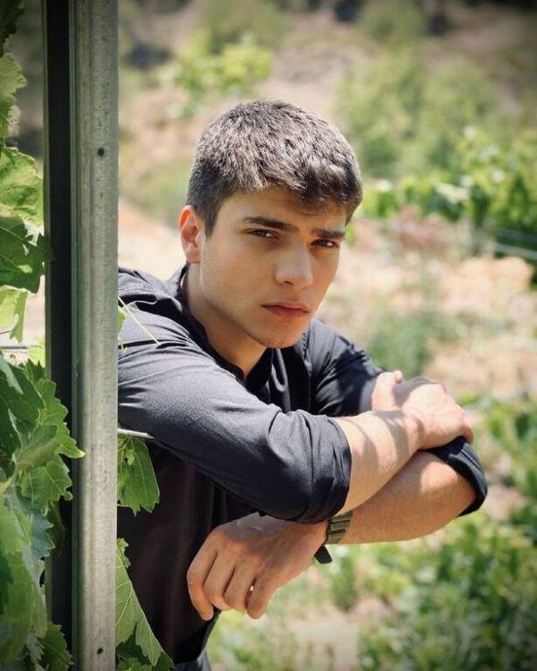 Η Γη της Ελιάς-Φίλιππος- Η Γη της Ελιάς-Φίλιππος-