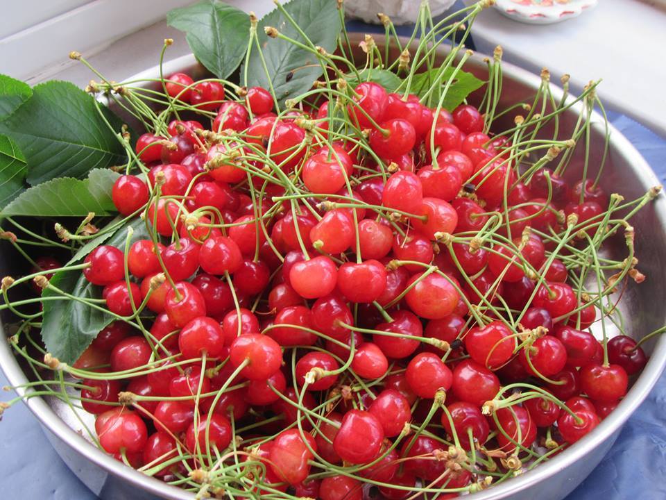 Πηχτή μαρμελάδα κεράσι