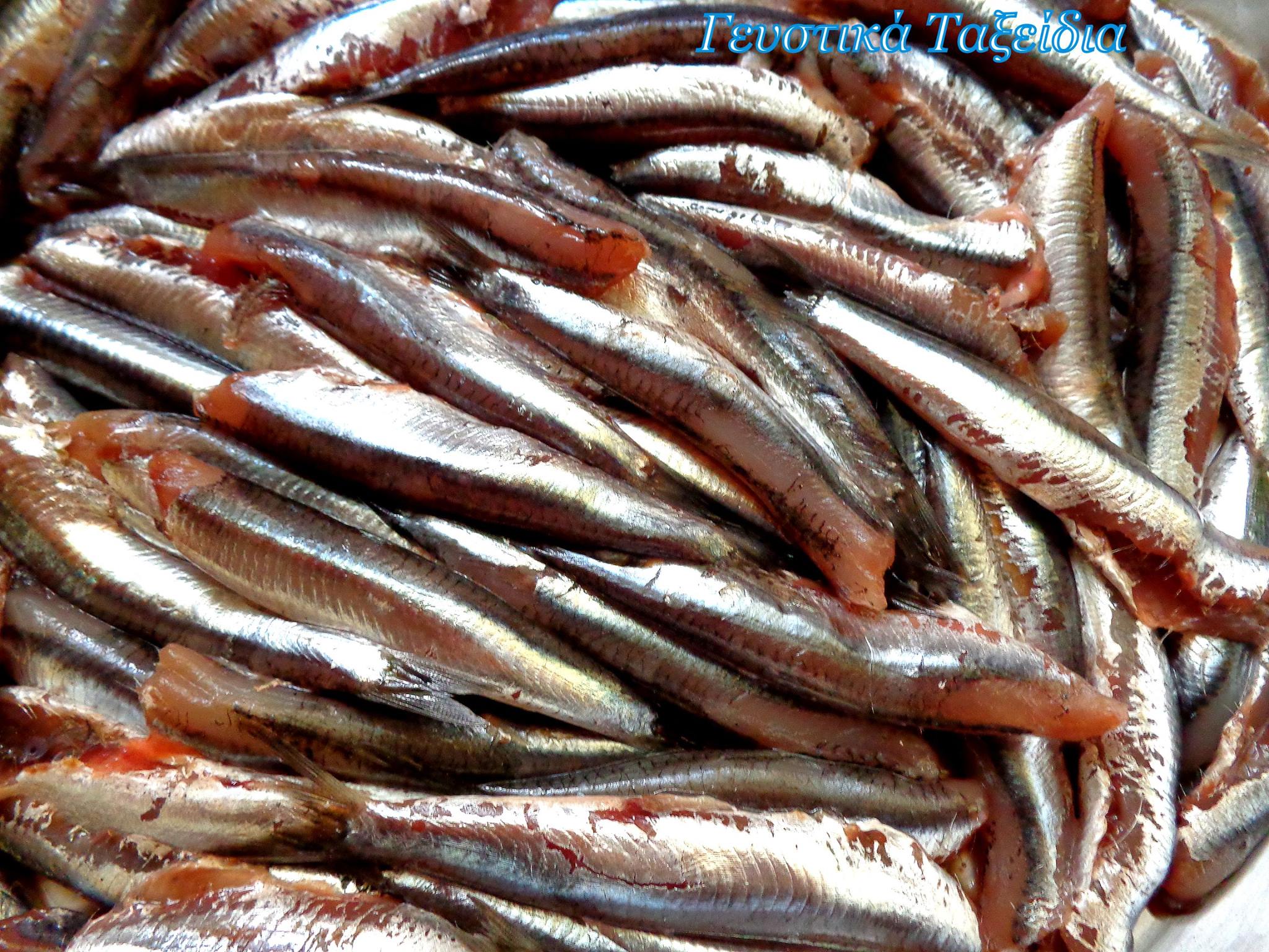 γαύρος-φούρνου-με-κάπαρη-συνταγή-