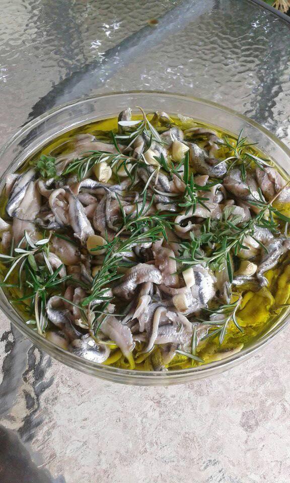 γαύρος-μαρινάτος-με-δεντρολίβανο-συνταγή- γαύρος-μαρινάτος-με-δεντρολίβανο-συνταγή-