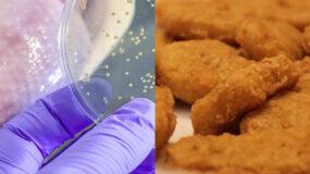 Ανακαλούνται μπουκιές από κοτόπουλο λόγω σαλμονέλας