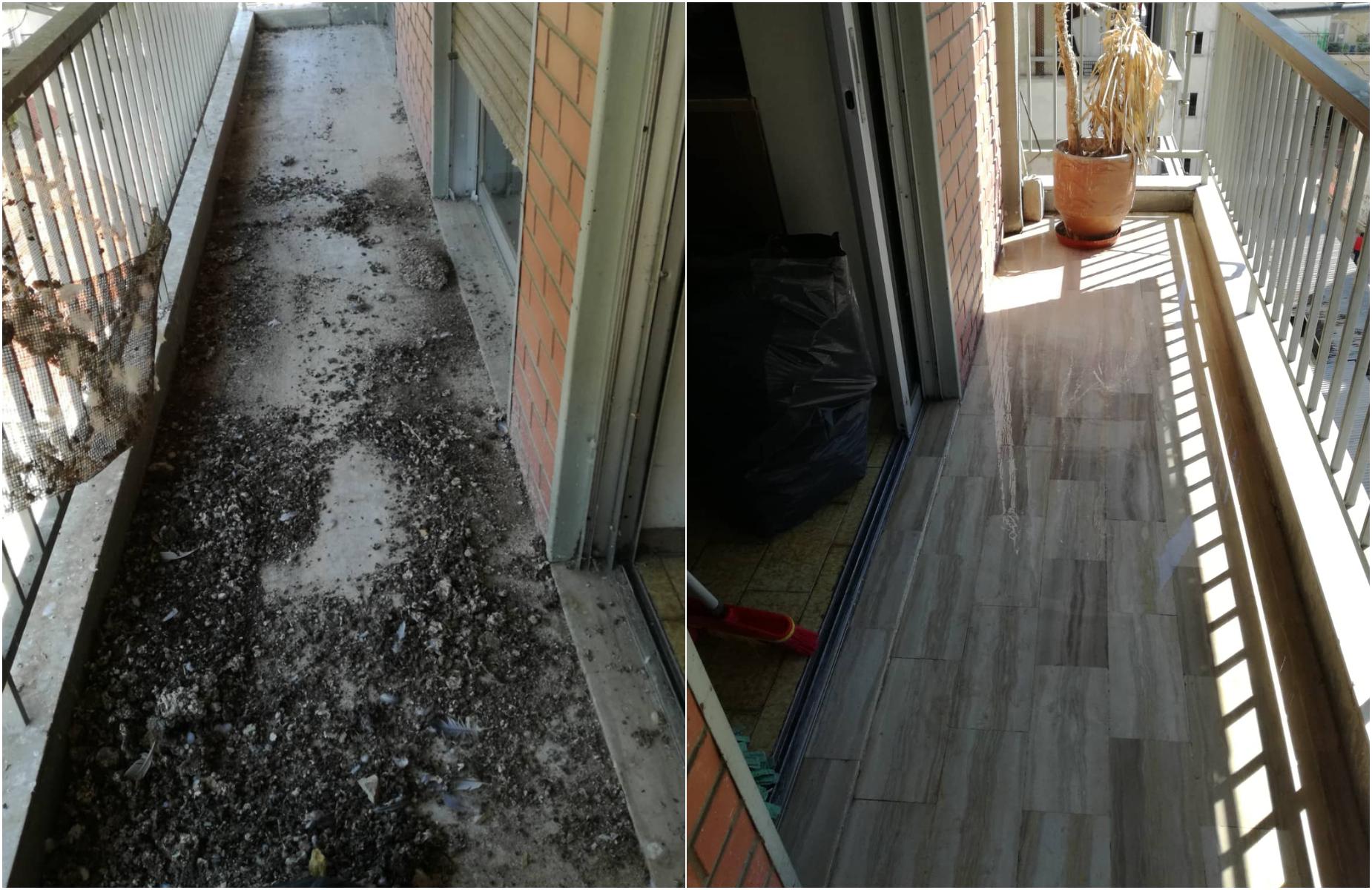 Καθαρίστε το μπαλκόνι από κουτσουλιές οσμές και μικρόβια περιστεριών με 3 αποτελεσματικούς τρόπους