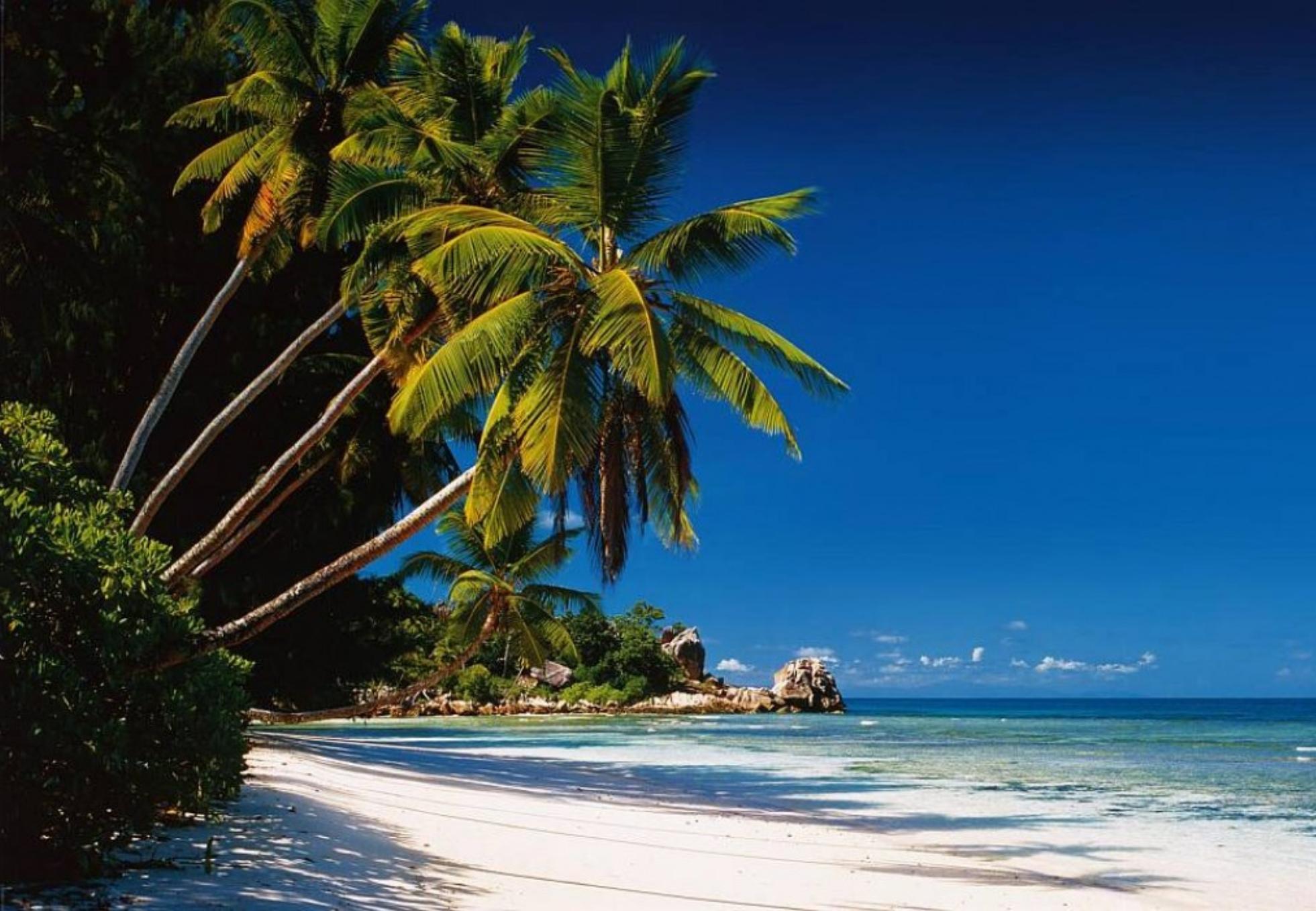 Ψυχολογικο Τεστ: Το τεστ του Ναυαγού που θα σε κάνει να δεις τις κρυμμένες πτυχές της προσωπικότητά σου 