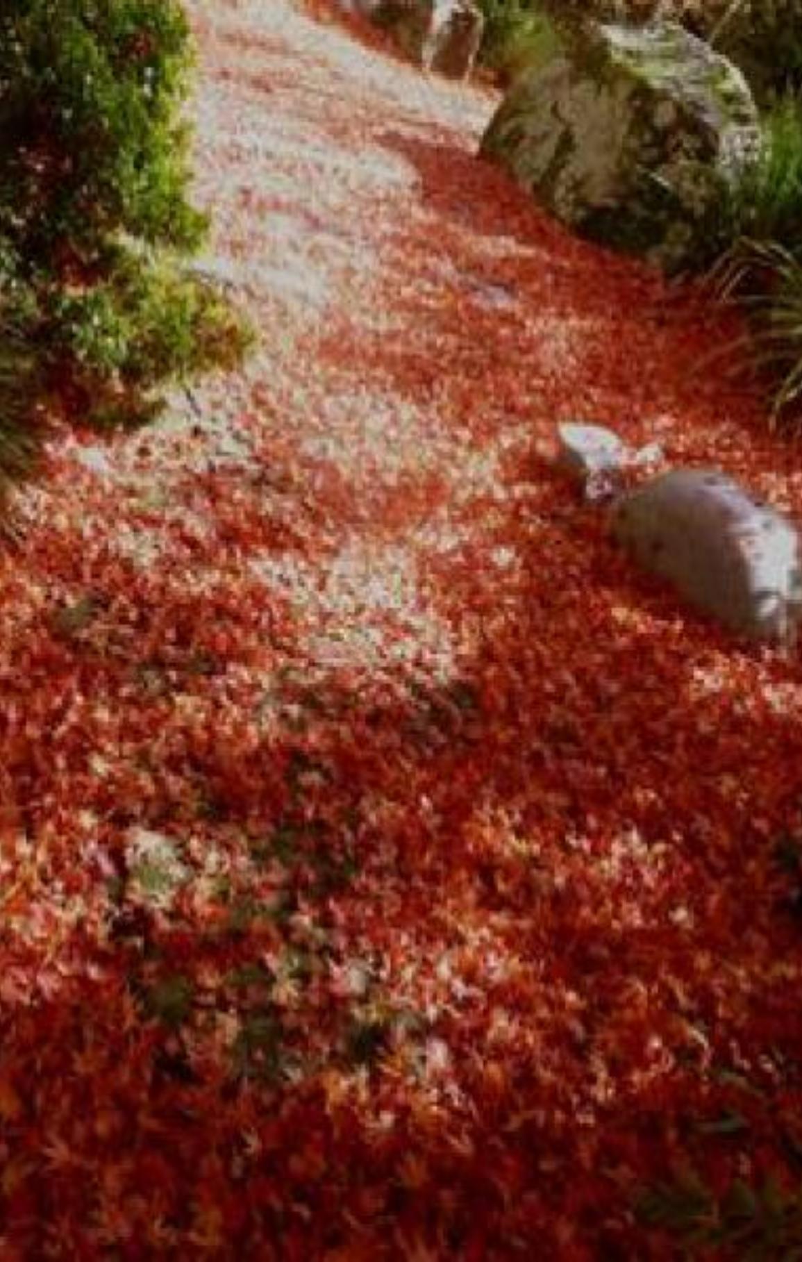 Ψυχολογικο Τεστ: