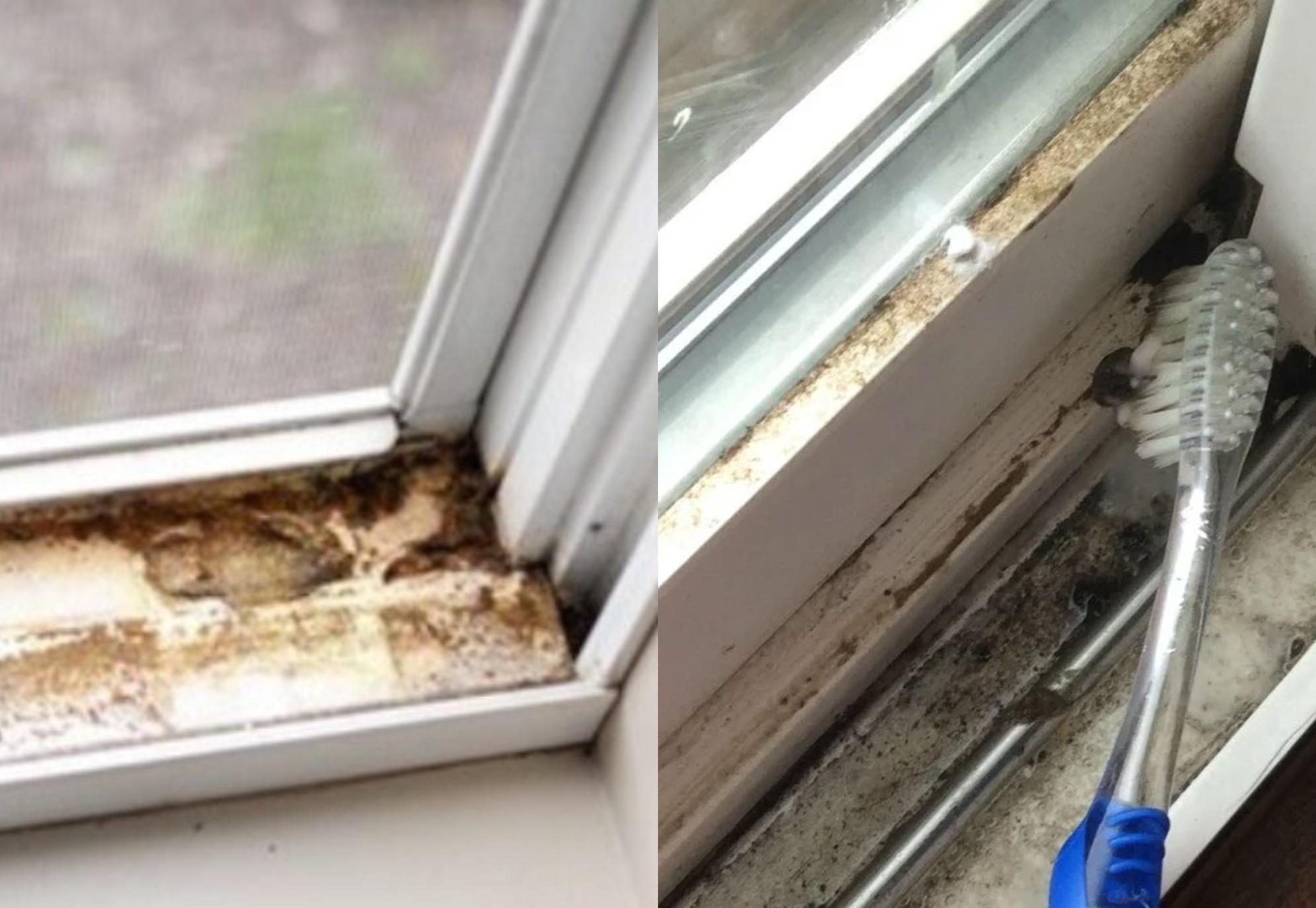 Σκόνη και κολλημένες βρωμιές στις ράγες από τις μπαλκονόπορτες – Κάντε τις ράγες να γυαλίζουν εύκολα με ένα μόνο υλικό