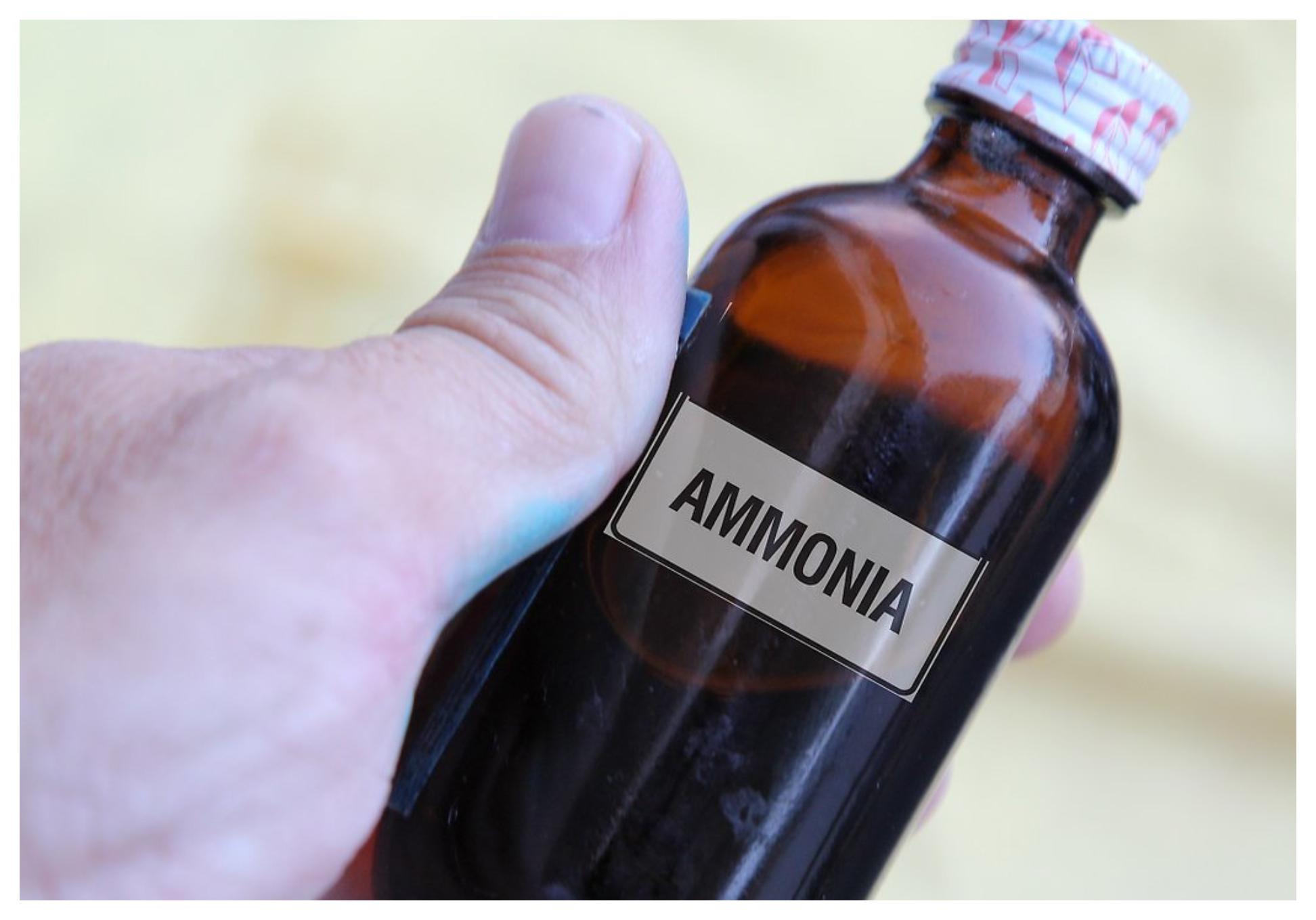 Λεκέδες από αίμα στα ρούχα στο στρώμα και στα έπιπλα: Πως να τους εξαφανίσετε