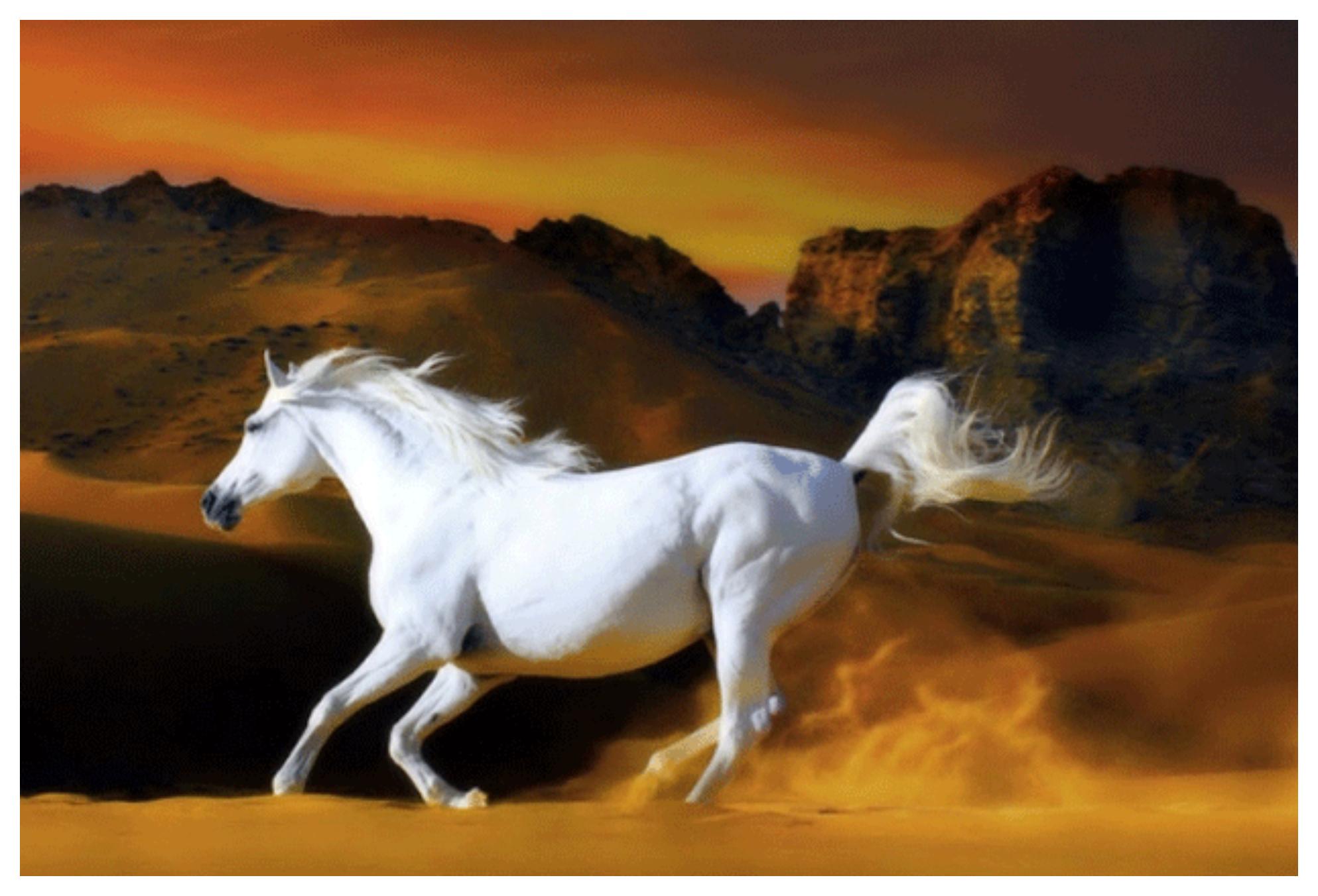 Ψυχολογικό τέστ: Ανακάλυψε τον χαρακτήρα σου και πως χειρίζεσαι τις σχέσεις σου μέσα από τα ζώα