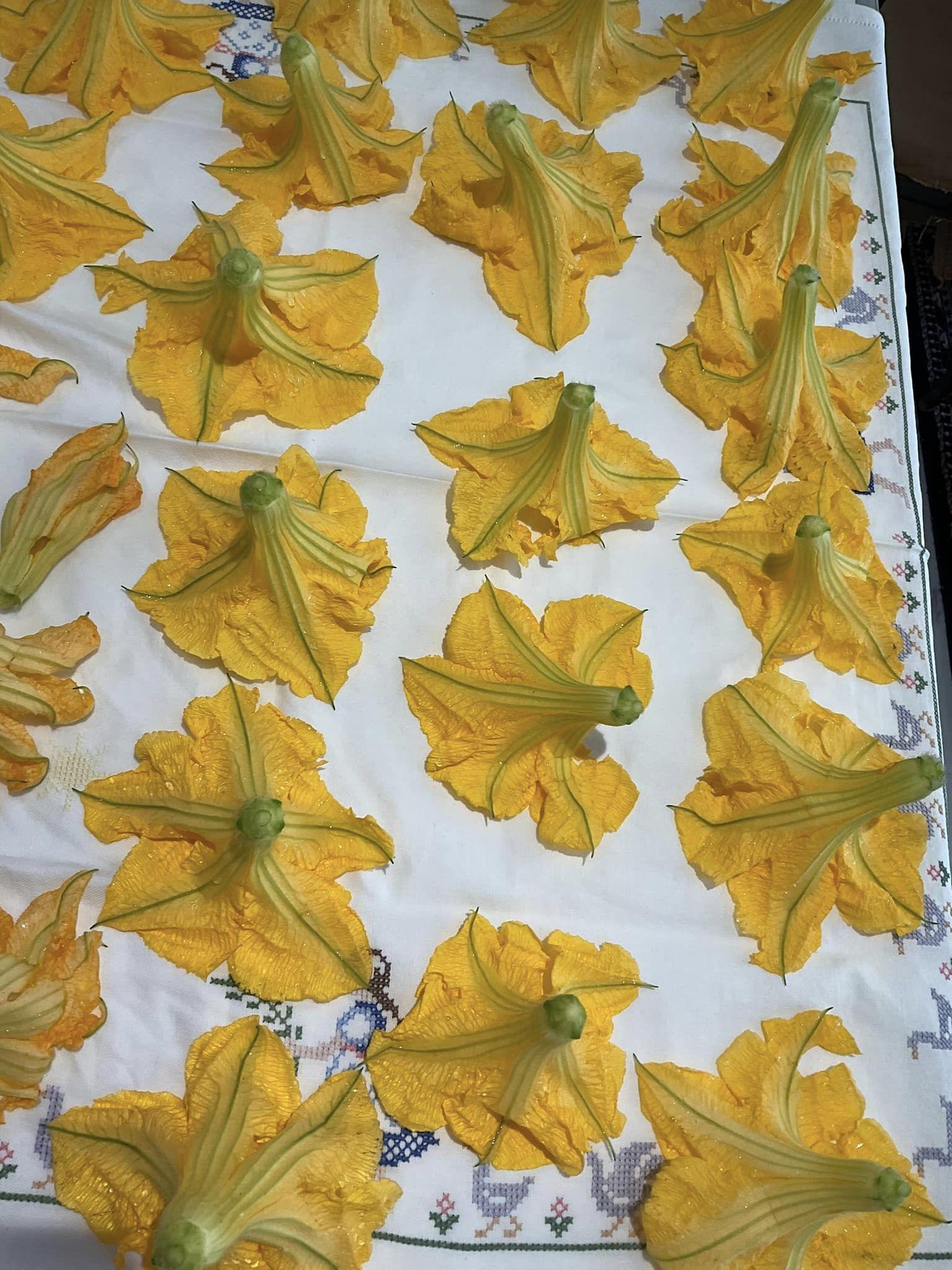 κολοκυθοανθοί-γεμιστοί-με φέτα-συνταγή- κολοκυθοανθοί-γεμιστοί-με φέτα-συνταγή-