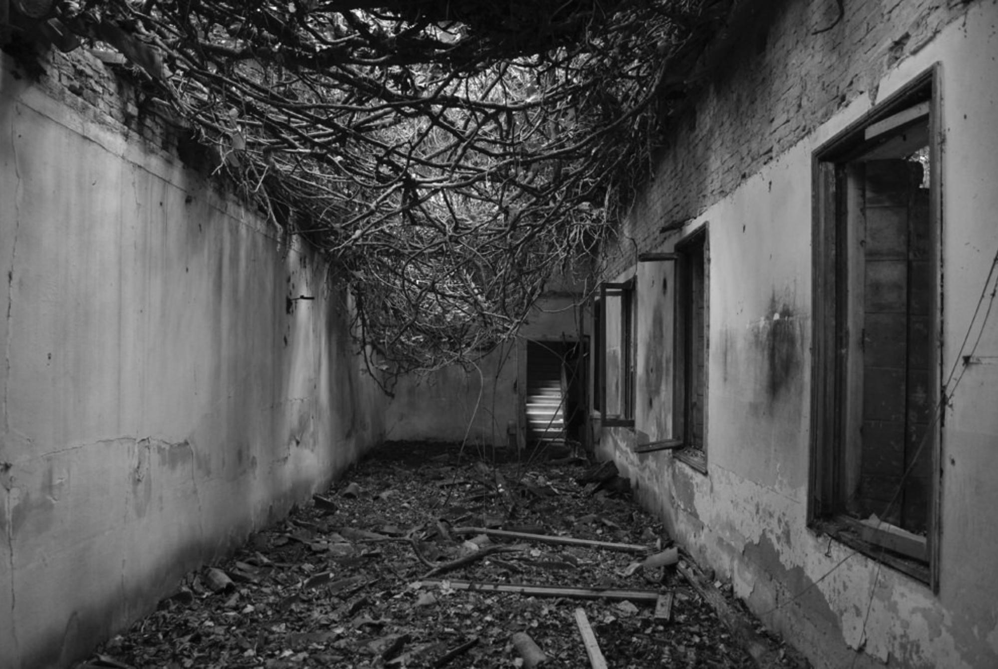 Poveglia η κόλαση επί γης: Το νησί των καταραμένων – Το «πιο στοιχειωμένο μέρος του κόσμου» που μπαίνεις μόνο με ειδική άδεια