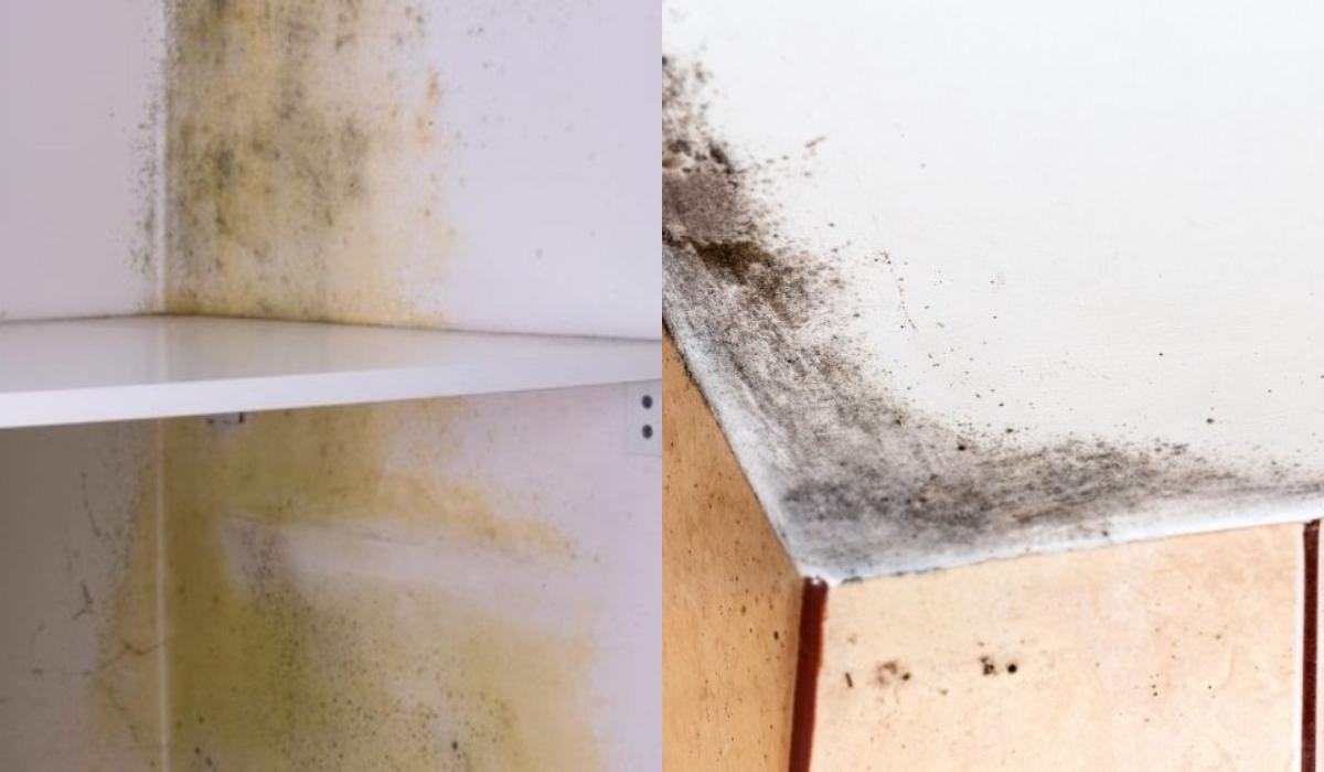 Βρωμάνε τα ντουλάπια μούχλα, κλεισούρα και λαδίλα: Πως θα διώξεις όλες τις άσχημες μυρωδιές