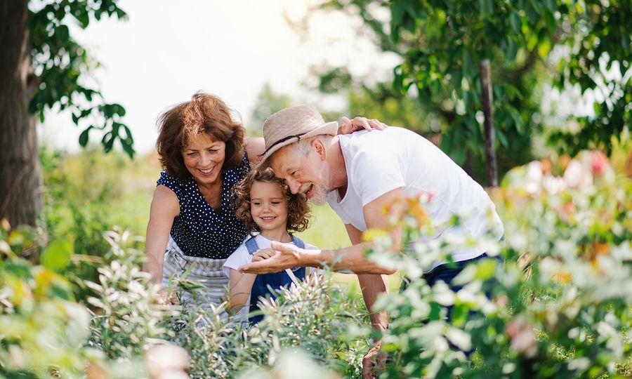 διακοπές-με-τον-παππού-και-την-γιαγιά-προτερήματα-και-πλεονεκτήματα-
