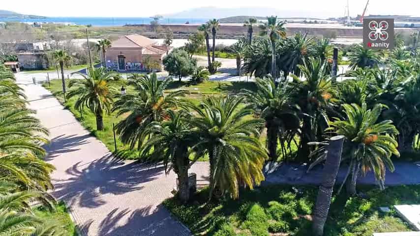 Φοινικόδασος-Αττική-Λαύριο-διακοπές 2023- Φοινικόδασος-Αττική-Λαύριο-διακοπές 2023-