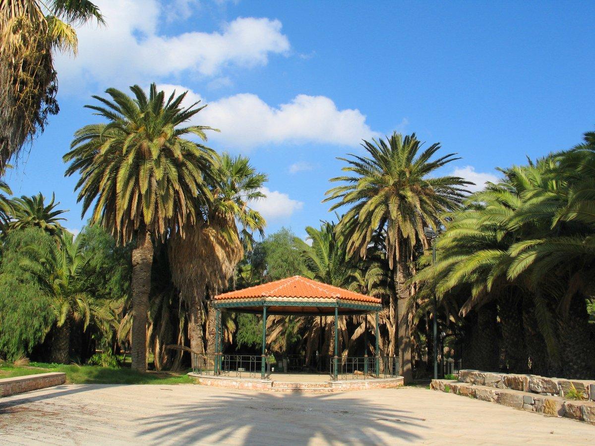 Φοινικόδασος-Αττική-Λαύριο-διακοπές 2023- Φοινικόδασος-Αττική-Λαύριο-διακοπές 2023-