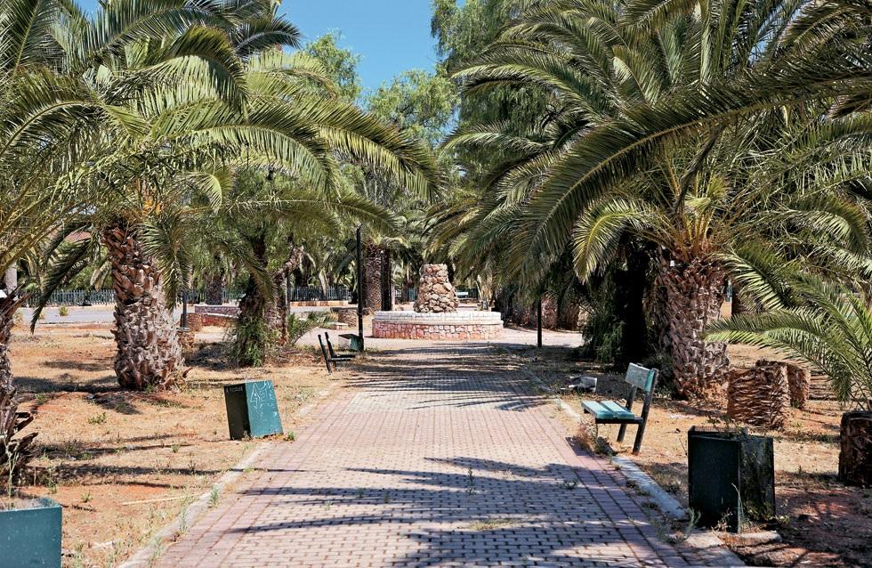 Φοινικόδασος-Αττική-Λαύριο-διακοπές 2023- Φοινικόδασος-Αττική-Λαύριο-διακοπές 2023-