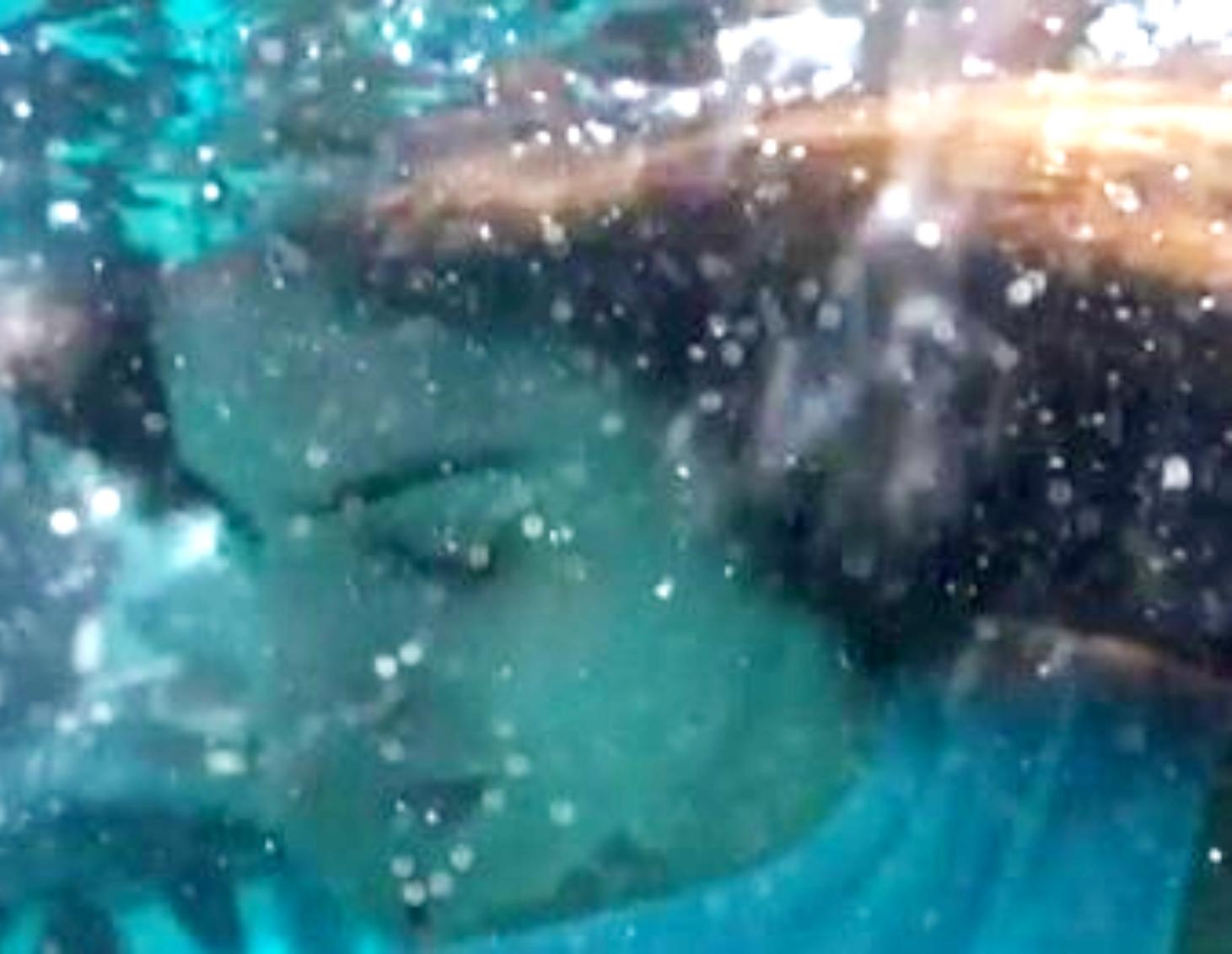 Η Γη της Ελιάς – Ιφιγένεια Τζόλα: Τα spoilers για την σειρά και ο εμμονικός θαυμαστής