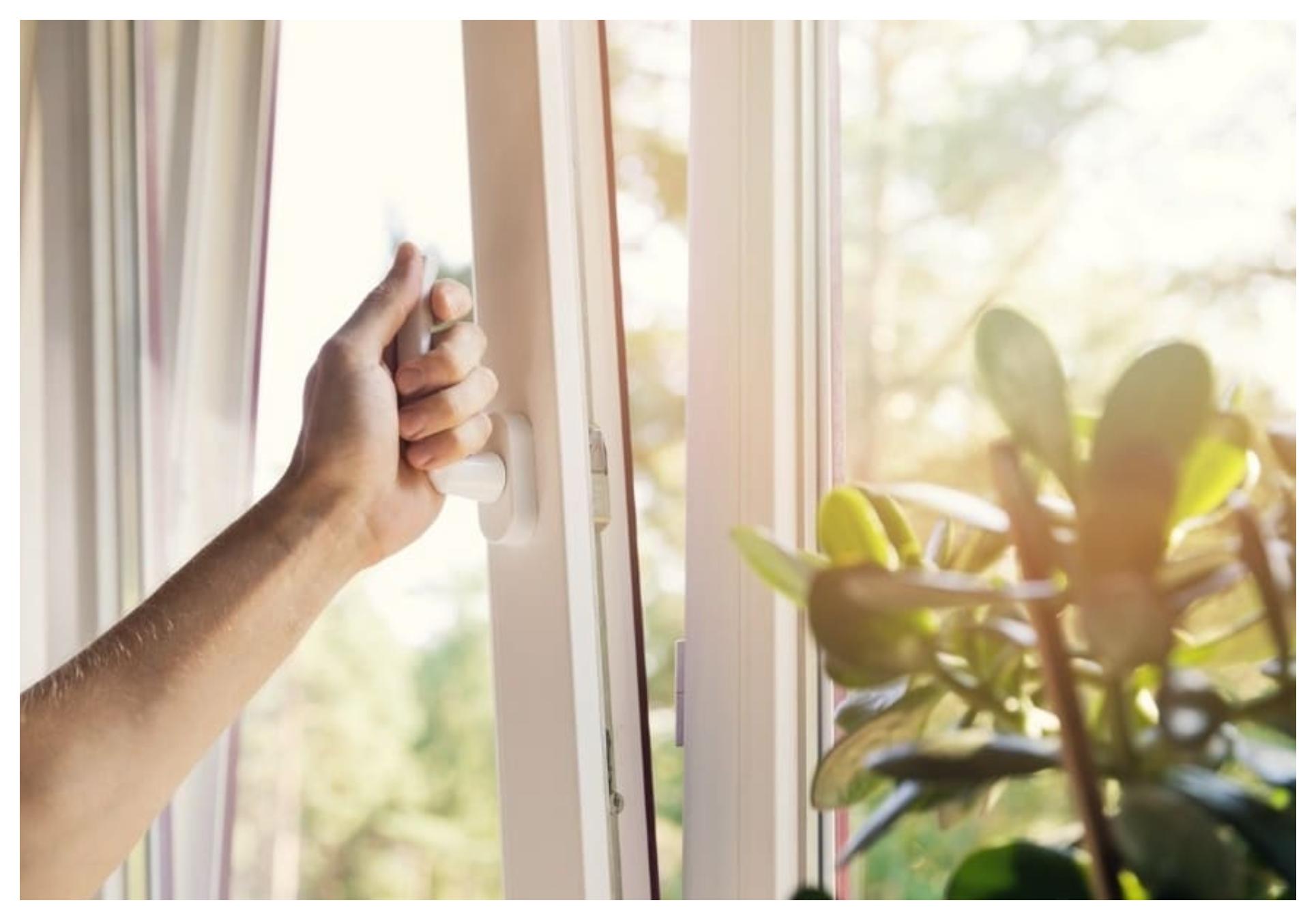 Μούχλα και υγρασία στο σπίτι: Οι τρόποι για να την αποτρέψετε και να την αντιμετωπίσετε μια και καλή