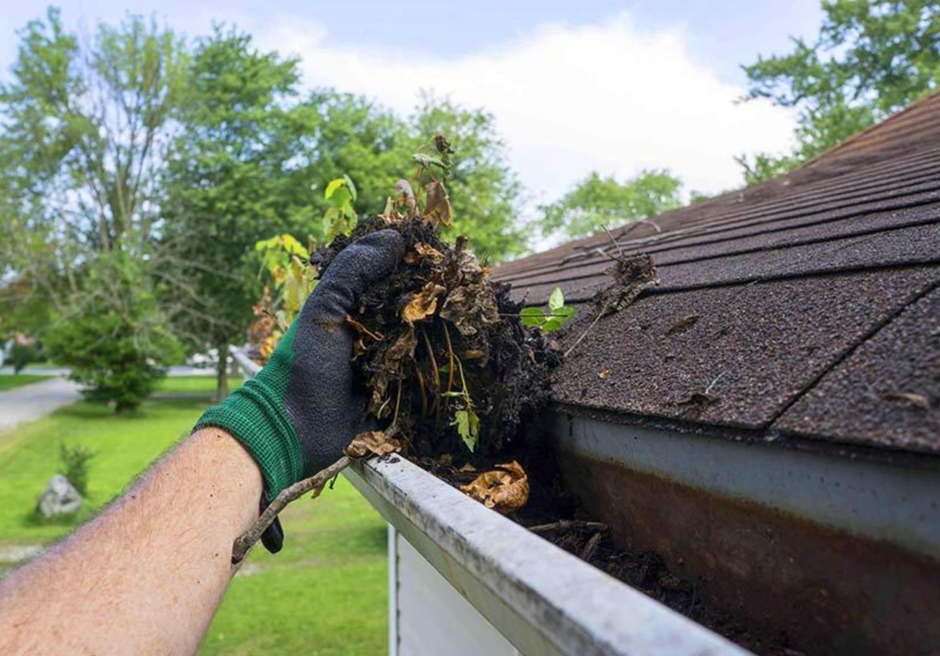Μούχλα και υγρασία στο σπίτι: Οι τρόποι για να την αποτρέψετε και να την αντιμετωπίσετε μια και καλή