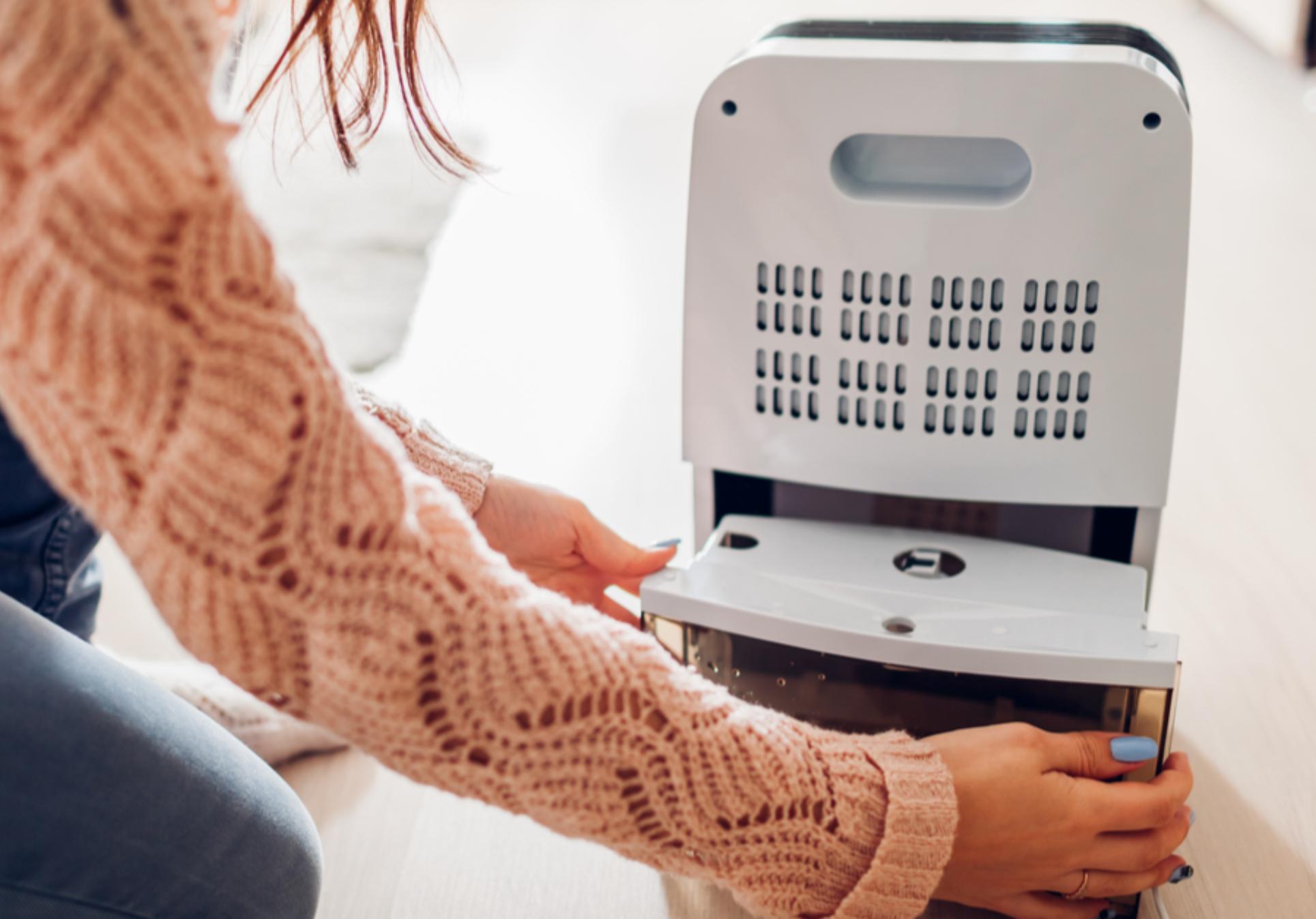 Μούχλα και υγρασία στο σπίτι: Οι τρόποι για να την αποτρέψετε και να την αντιμετωπίσετε μια και καλή