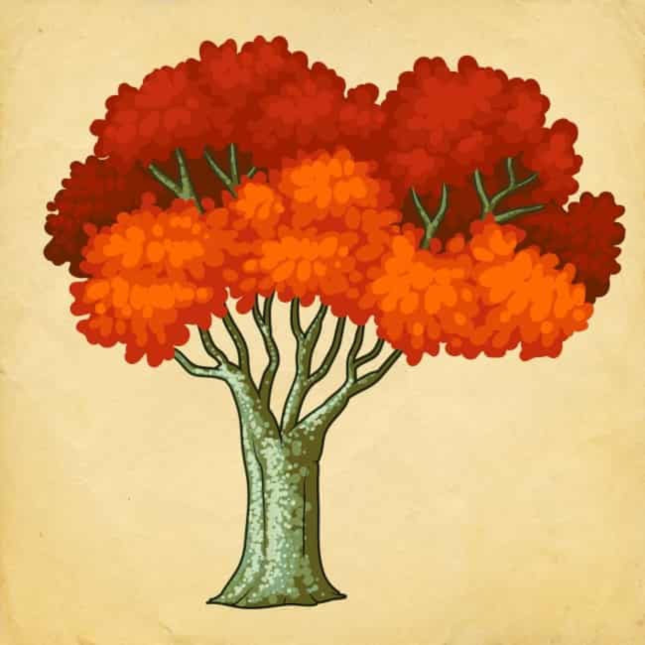 Ψυχολογικό τεστ: Το δέντρο που θα διαλέξεις σου δείχνει τις αλλαγές που θα έχεις το 2023