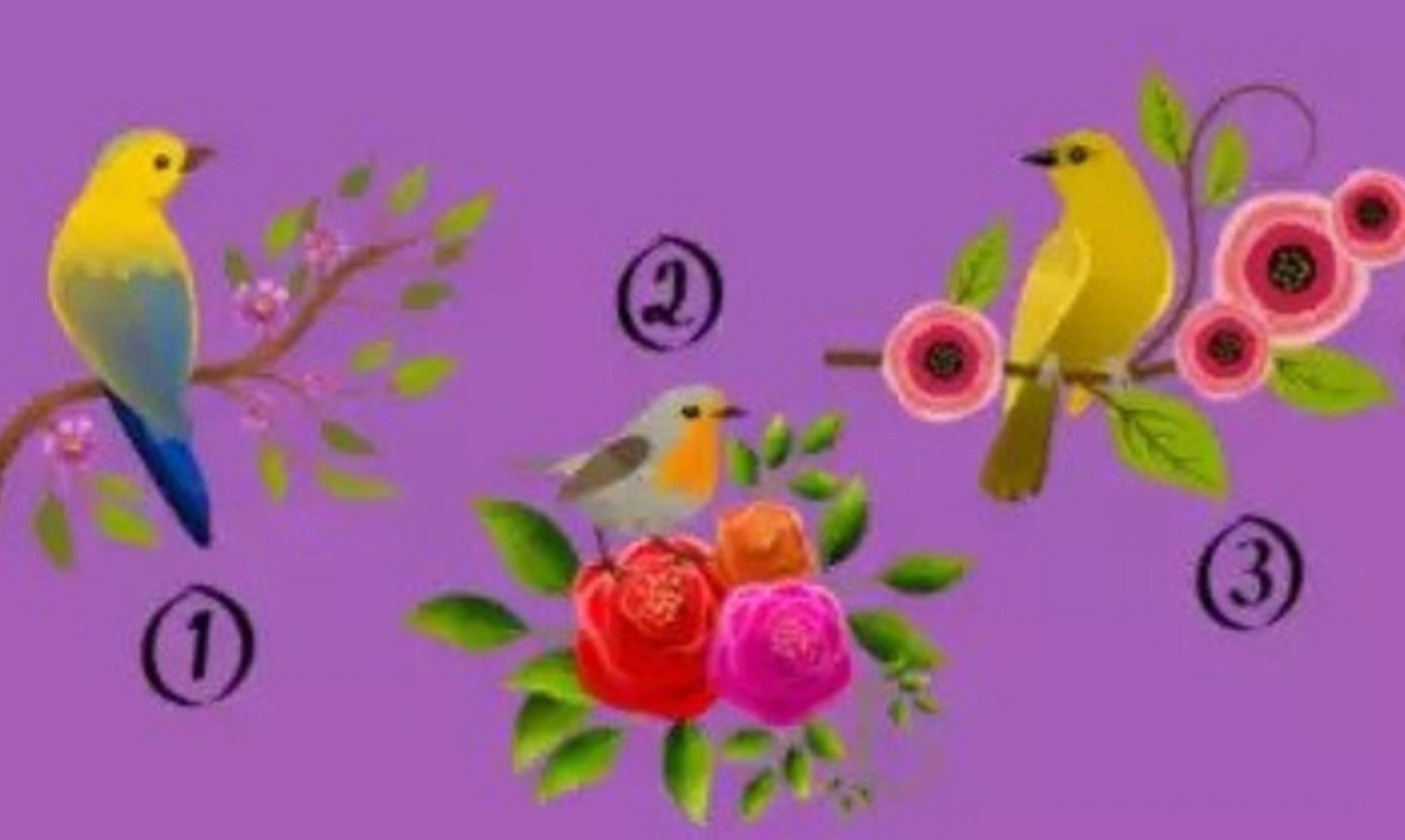 Ψυχολογικό τεστ: Το πτηνό που θα διαλέξεις θα σου δείξει τον τρόπο που αντιμετωπίζεις τις δυσκολίες