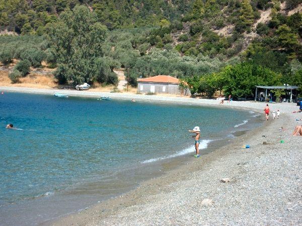 παραλίες-στην-Εύβοια-για-παιδιά- παραλίες-στην-Εύβοια-για-παιδιά-