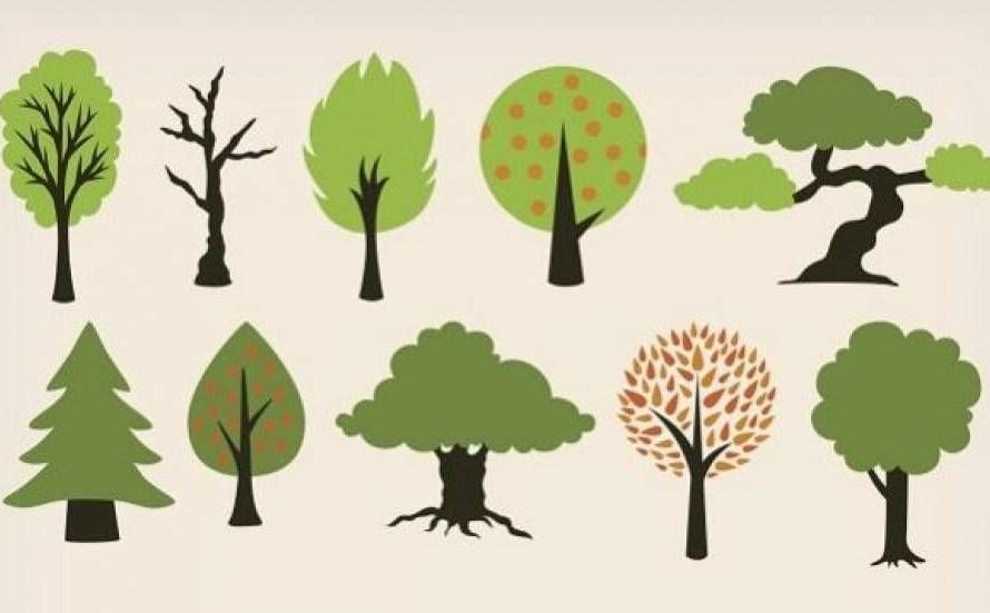 Tι δέντρο είναι το παιδί σας; – Ενα αλλιώτικο τεστ προσωπικότητας