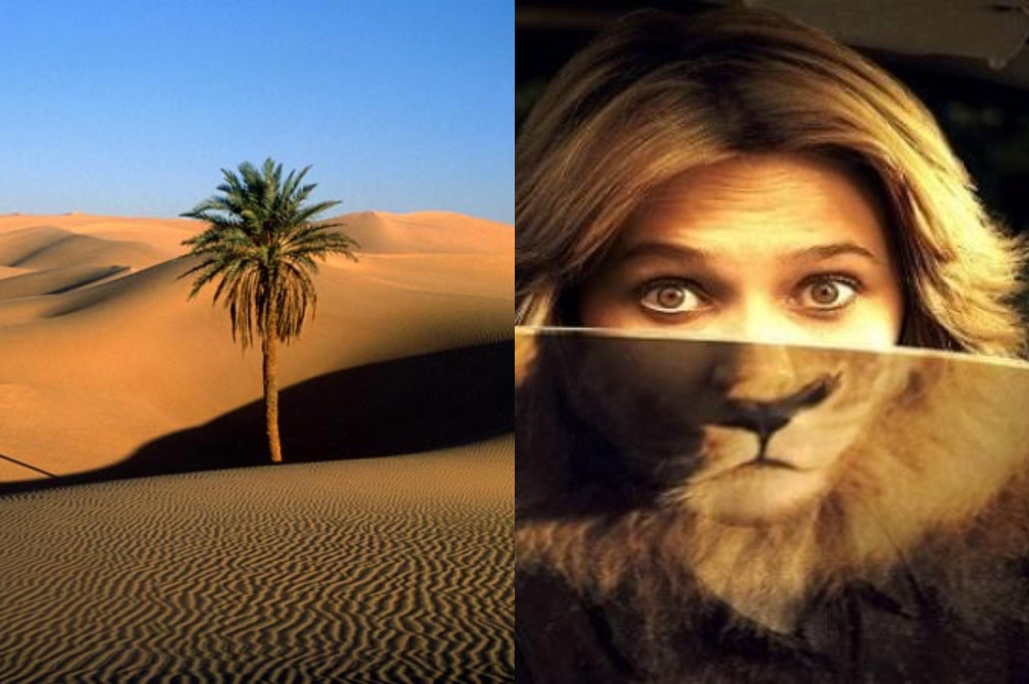 Ψυχολογικό τεστ:  Η έρημος και τα ζώα – Το τεστ που θα σου δείξει τι θυσιάζεις πρώτο στη ζωή σου