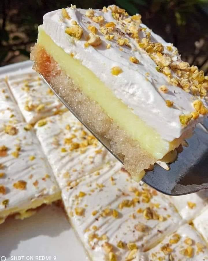 γλυκό-ψυγείου-με-κρέμα-και-φρυγανιές-συνταγή-