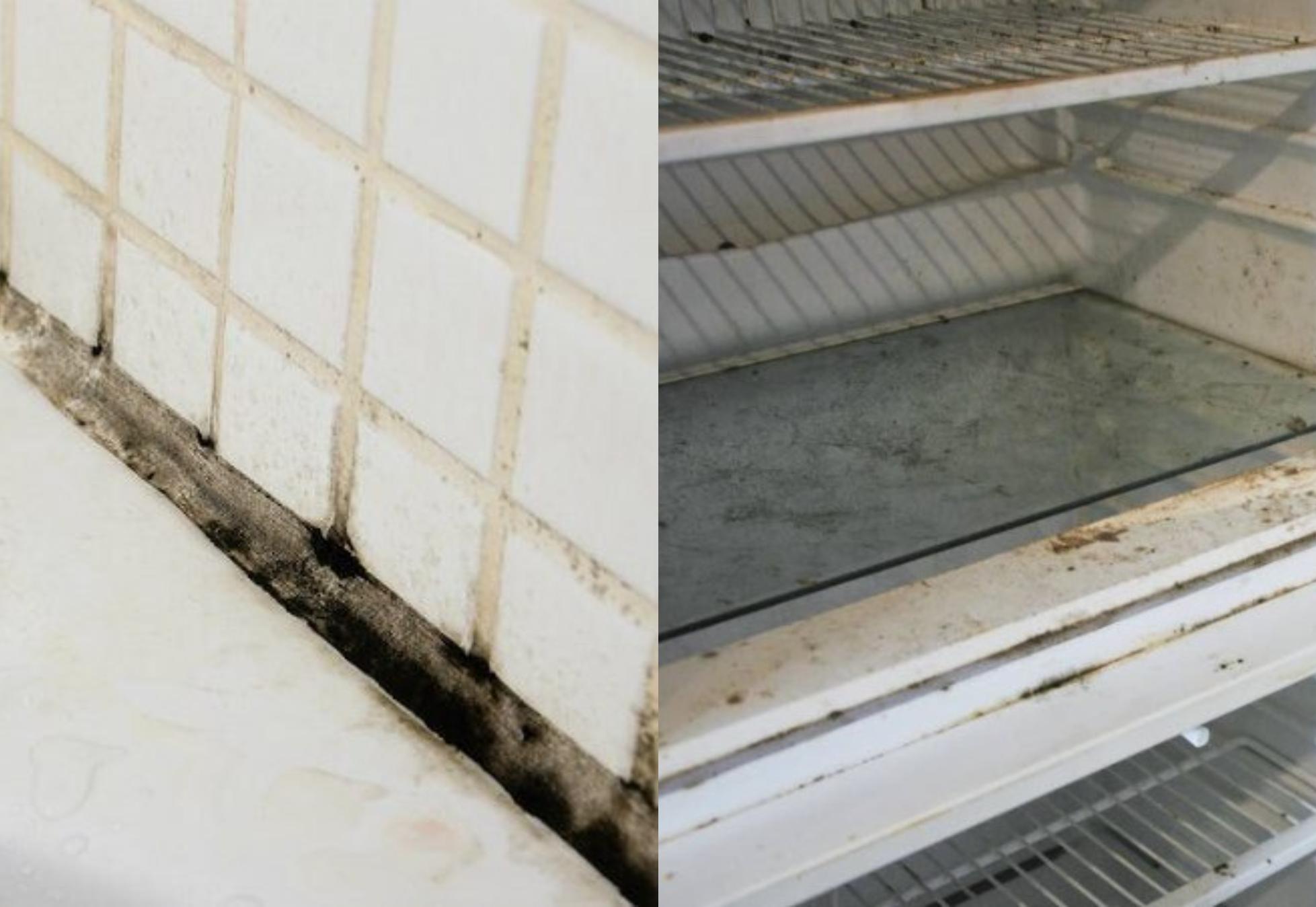 Με 0.70 λεπτά Καθαρίστε μούχλα, γυάλινες επιφάνειες, λεκάνη, ψυγείο και αρμούς