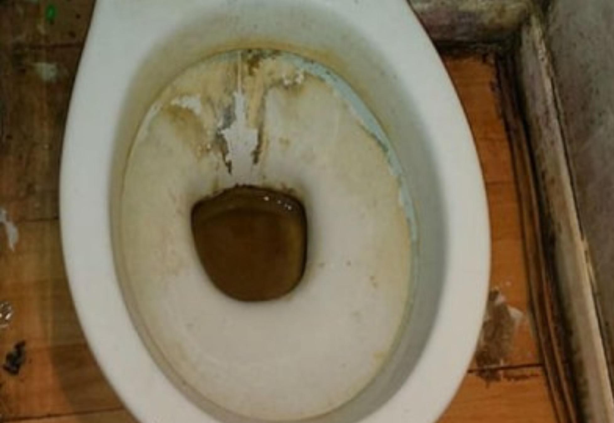 Με 0.70 λεπτά Καθαρίστε μούχλα, γυάλινες επιφάνειες, λεκάνη, ψυγείο και αρμούς