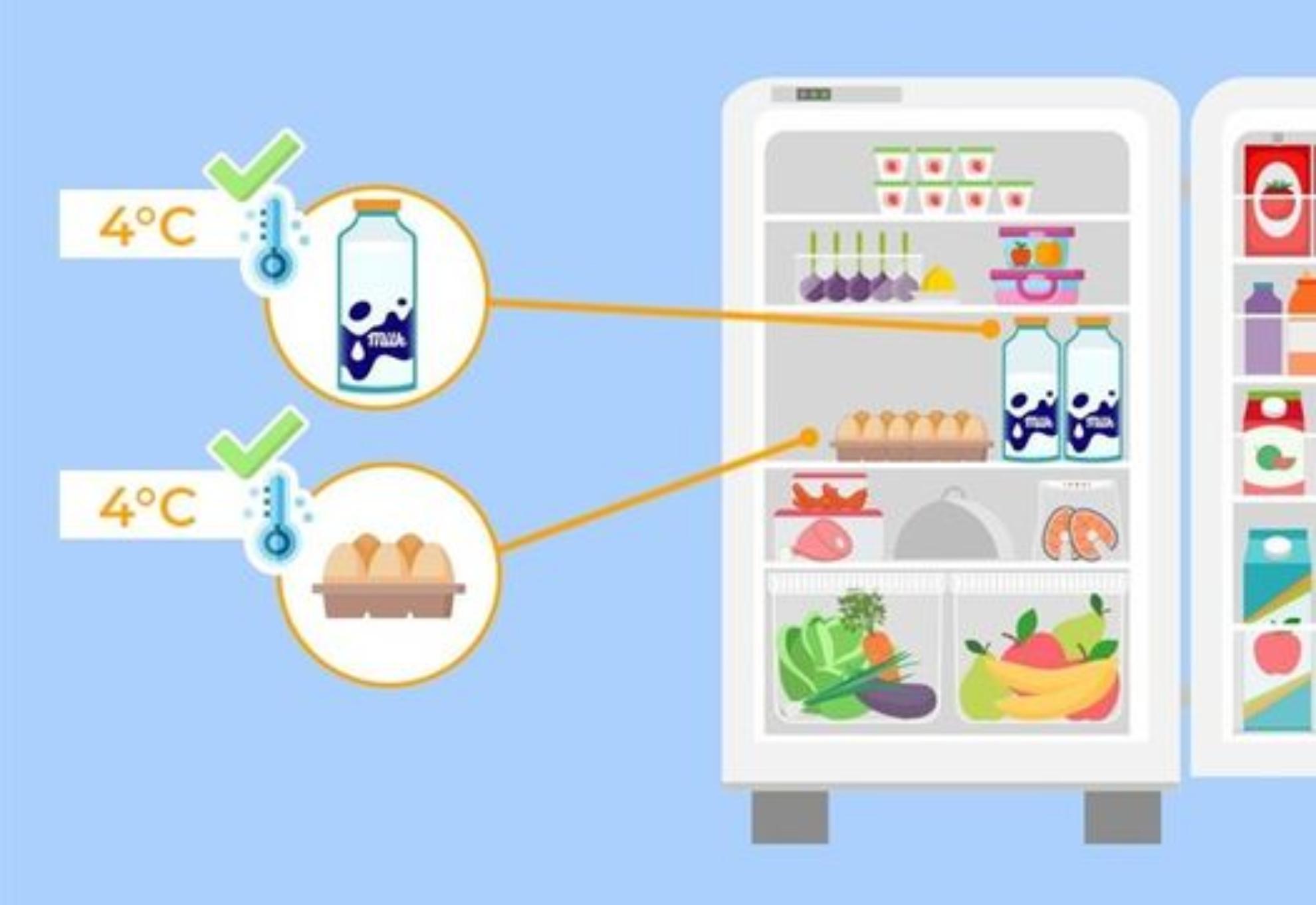 Καμπανάκι από τον ΕΦΕΤ: Προσοχή με το γάλα και τα αυγά στο ψυγείο την περίοδο του καύσωνα