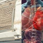 Καύσωνας και air condition: Η νόσος των λεγεωνάριων – Μια επικίνδυνη λοίμωξη που μπορεί να σκοτώσει δείτε τα συμπτώματα που προκαλεί