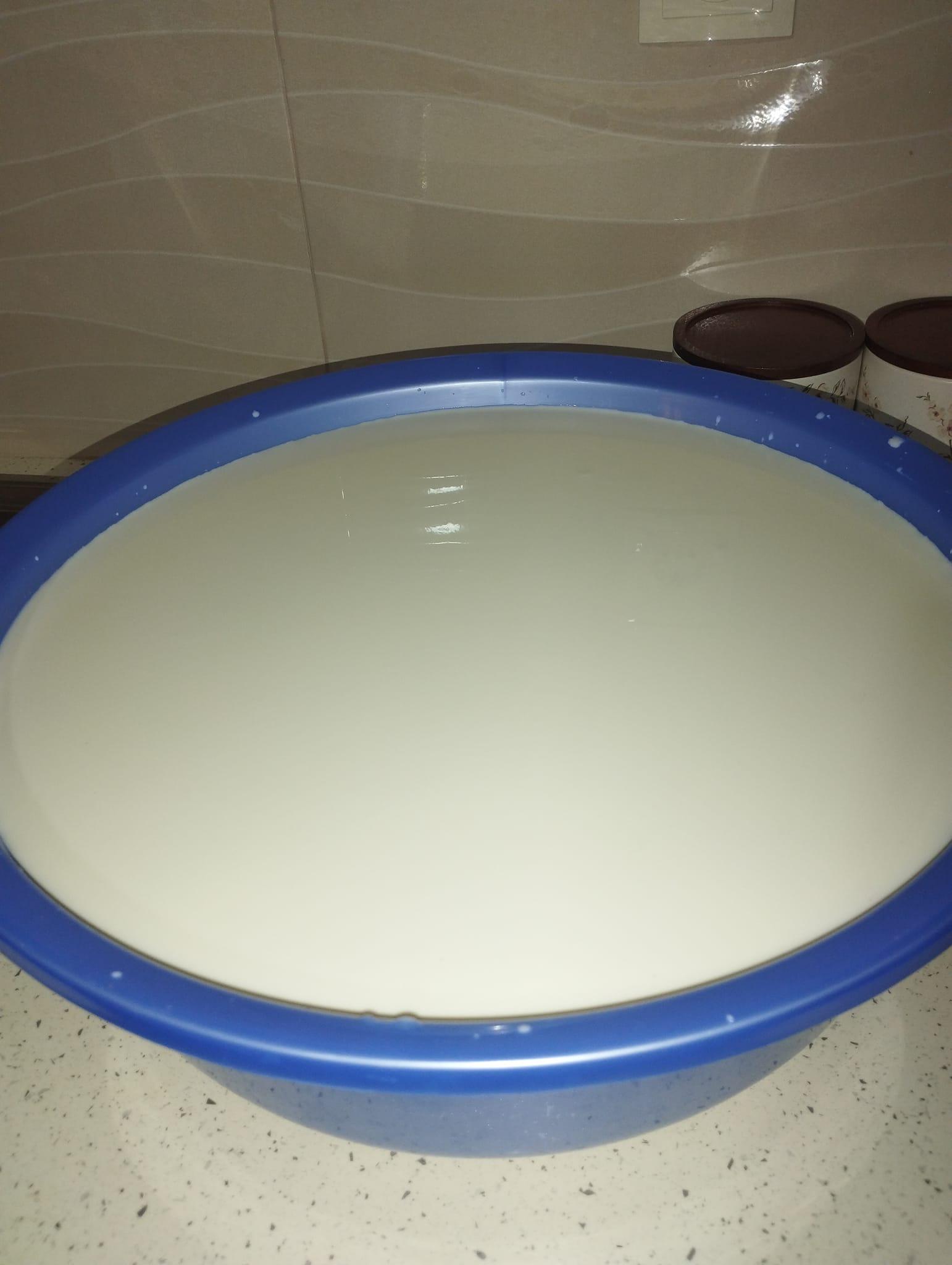 ξινός-τραχανάς-σπιτικός-με-ντομάτα-και-κρεμμύδι-συνταγή- ξινός-τραχανάς-σπιτικός-με-ντομάτα-και-κρεμμύδι-συνταγή-