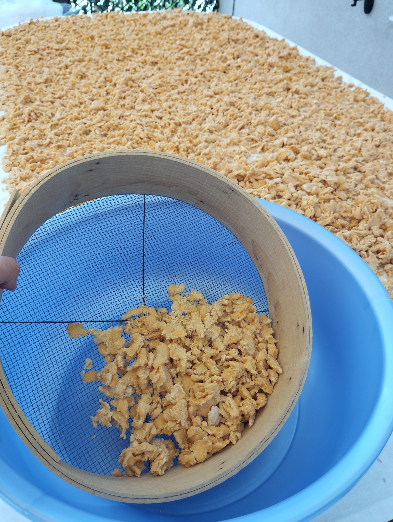 ξινός-τραχανάς-σπιτικός-με-ντομάτα-και-κρεμμύδι-συνταγή- ξινός-τραχανάς-σπιτικός-με-ντομάτα-και-κρεμμύδι-συνταγή-