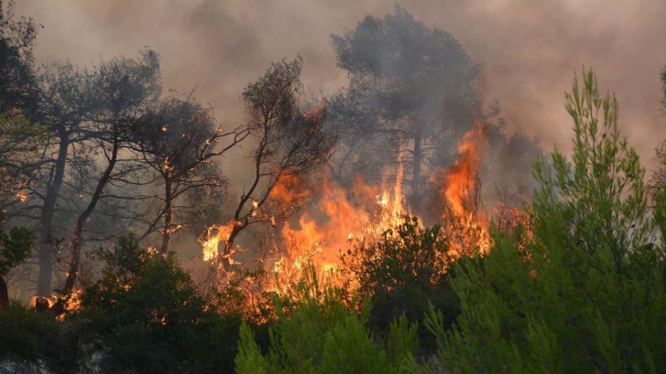 Κλέαρχος Μαρουσάκης: Πόσο εύκολο θα είναι να ξεκινήσει και να εξαπλωθεί μια πυρκαγιά