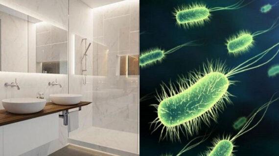 Αυτά είναι τα 6 αντικείμενα που συγκεντρώνουν τα περισσότερα βακτήρια στο μπάνιο
