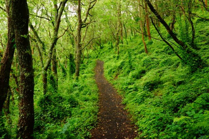Διάλεξε ένα απο τα 6 μονοπάτια και ανακάλυψε κρυμμένες πλευρές του χαρακτήρα σου
