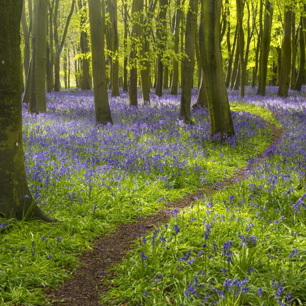 Διάλεξε ένα απο τα 6 μονοπάτια και ανακάλυψε κρυμμένες πλευρές του χαρακτήρα σου