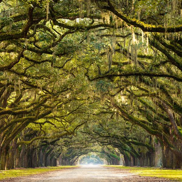 Διάλεξε ένα απο τα 6 μονοπάτια και ανακάλυψε κρυμμένες πλευρές του χαρακτήρα σου