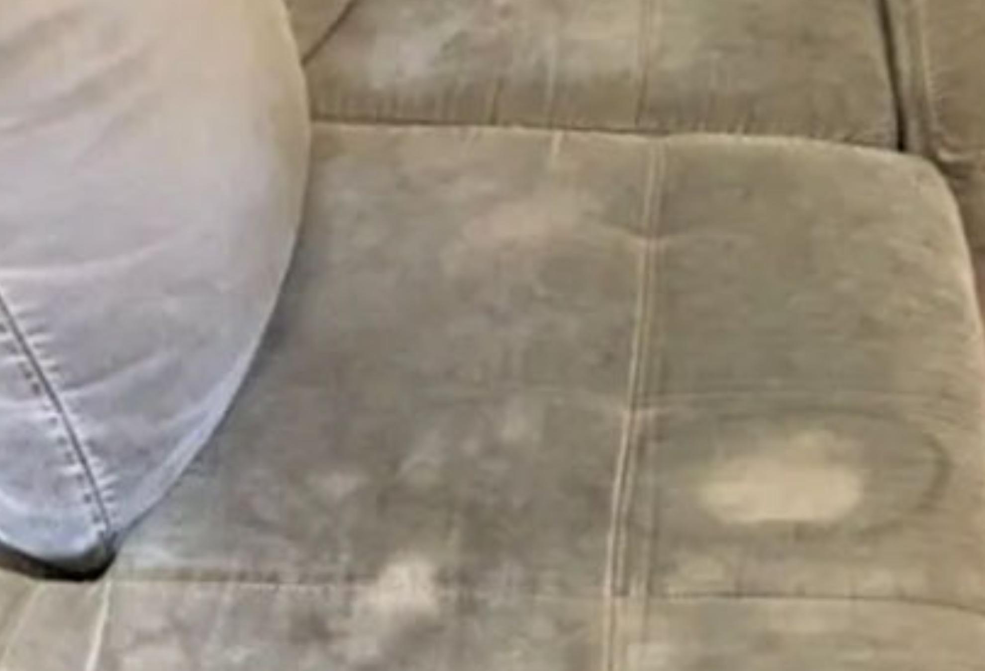 Λαδιές οσμές από το κατοικίδιο και χυμένος καφές στον καναπέ σας; Η μαγική συνταγή που θα τον κάνει σαν καινούριο 