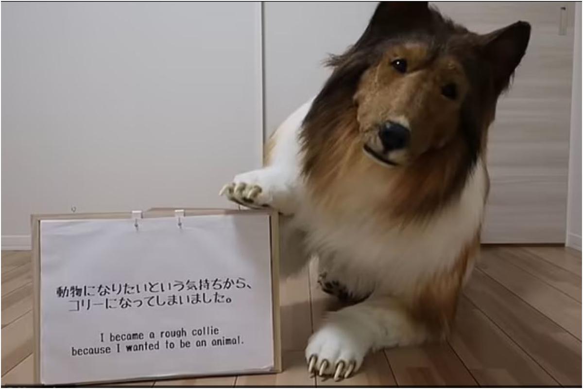 Ιάπωνας ξόδεψε πάνω από 12 χιλιάδες ευρώ για να «μεταμορφωθεί» σε σκύλο (Βίντεο)