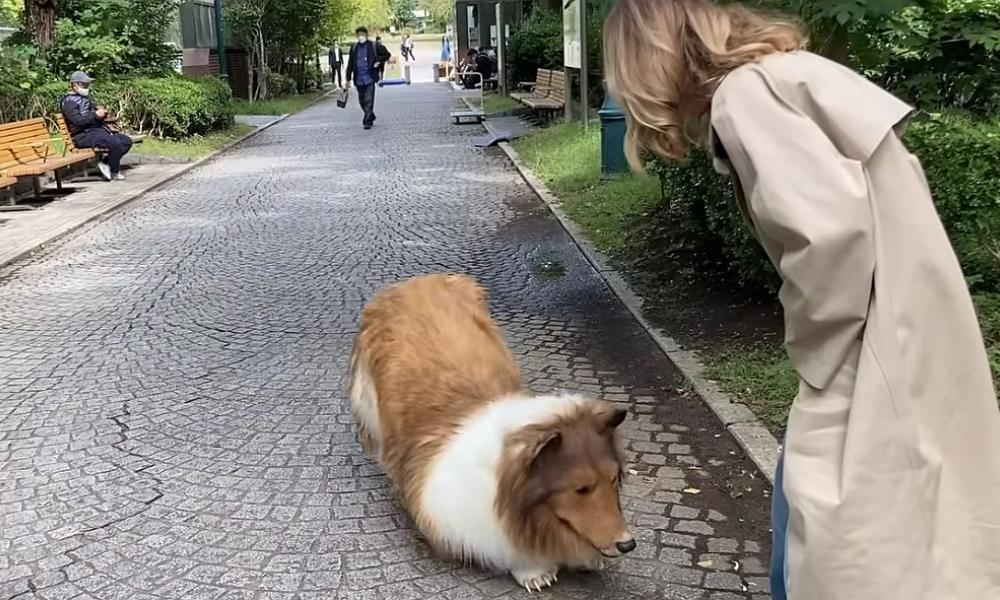 Ιάπωνας ξόδεψε πάνω από 12 χιλιάδες ευρώ για να «μεταμορφωθεί» σε σκύλο (Βίντεο)