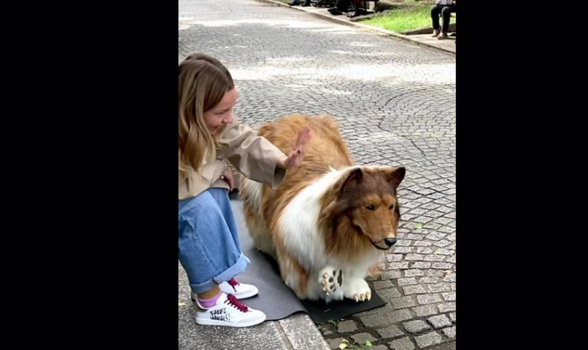 Ιάπωνας ξόδεψε πάνω από 12 χιλιάδες ευρώ για να «μεταμορφωθεί» σε σκύλο (Βίντεο)