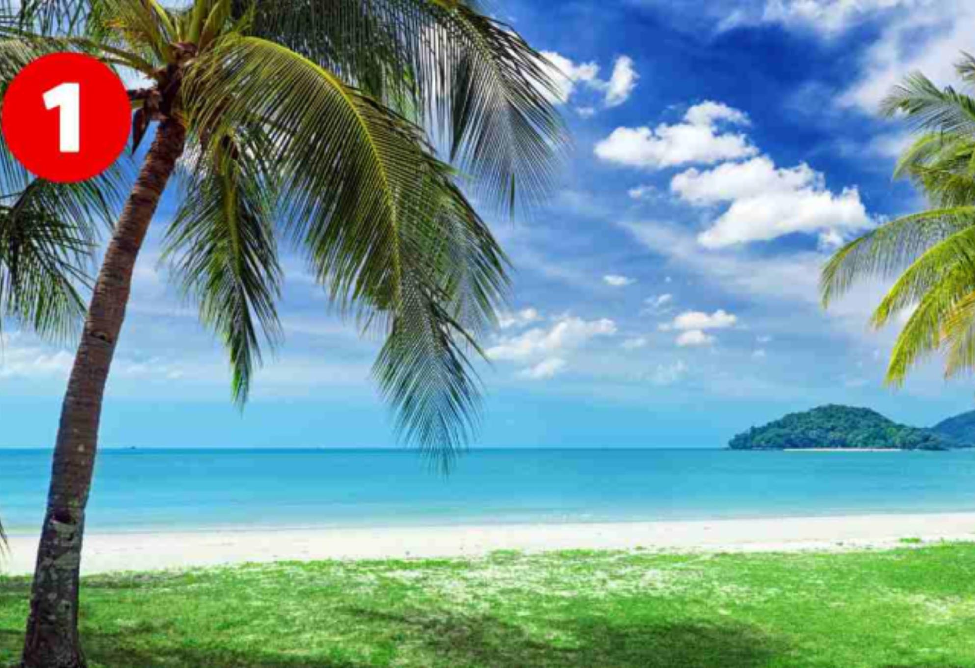 Ψυχολογικό τεστ: Διάλεξε την αγαπημένη σου παραλία και ανακάλυψε τις πιο καλά κρυμμένες πλευρές του εαυτού σου