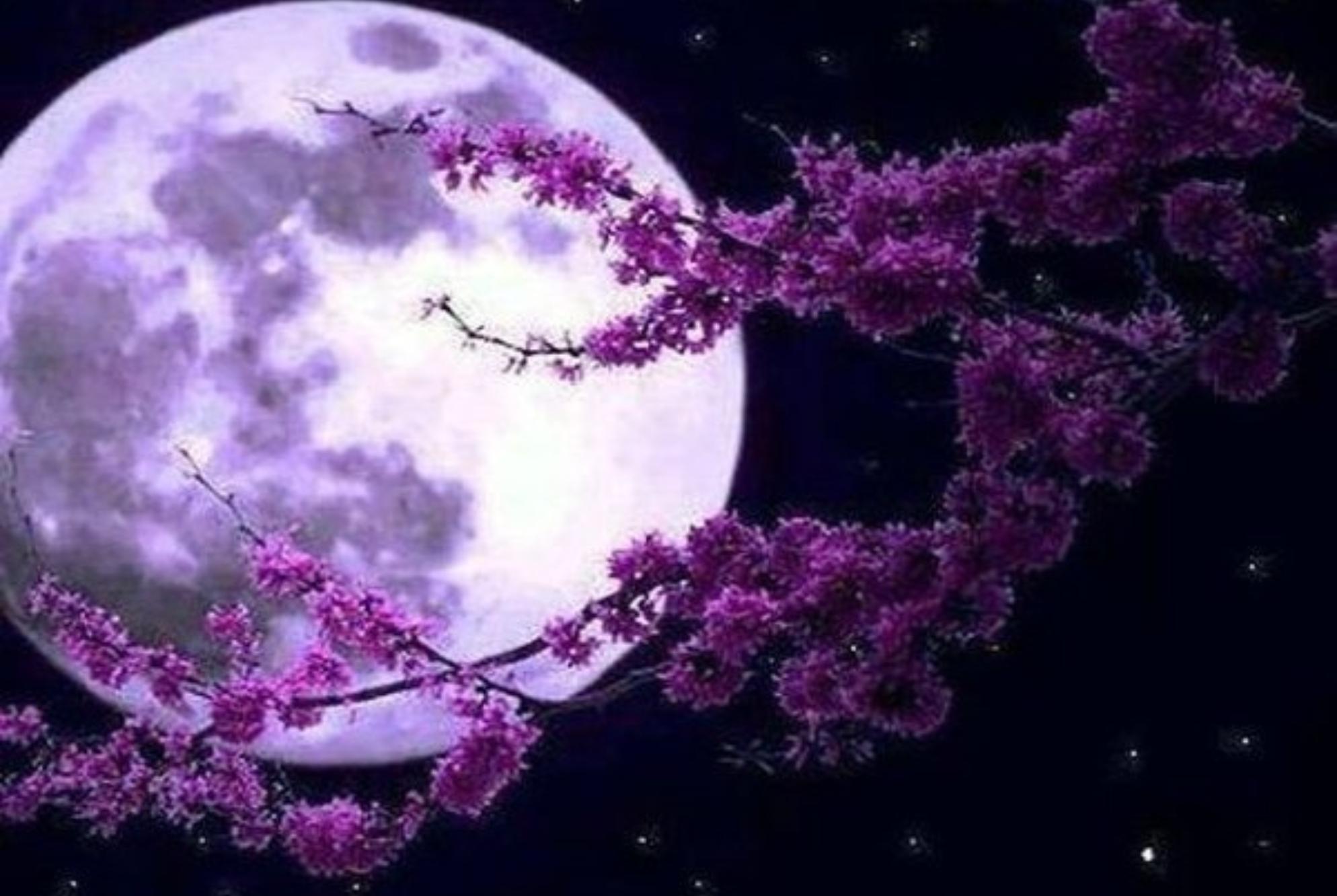 Ψυχολογικό τεστ: Διαλέξτε το φεγγάρι που σας εκφράζει περισσότερο και δείτε τι βρίσκεται βαθιά κρυμμένο στο υποσυνείδητο σας