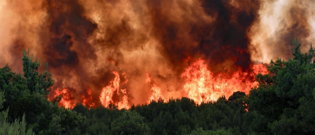 Ενεργοποίηση του Παγκόσμιου Άτλα Πυρκαγιών: Πώς θα βρίσκει τις φωτιές