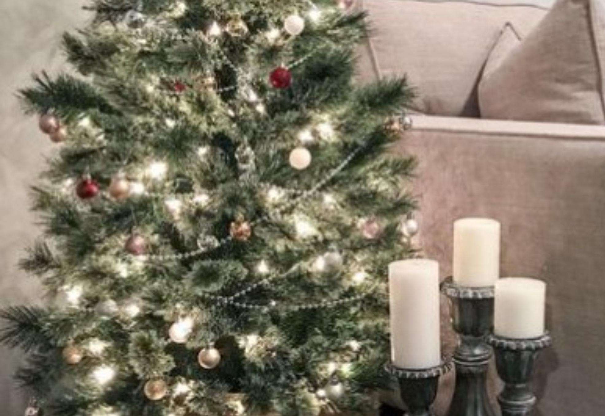 Καθαρίστε γλάστρες μούχλα παιδικά παιχνίδια διατηρήστε ακόμα και τα φρεσκοκομμένα λουλούδια σας με ένα μόνο καθαριστικό 