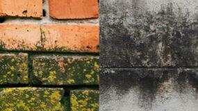 Κιτρινίλες, πρασινάδα και μούχλα στους τοίχους της αυλής: Πως τους καθαρίσεις