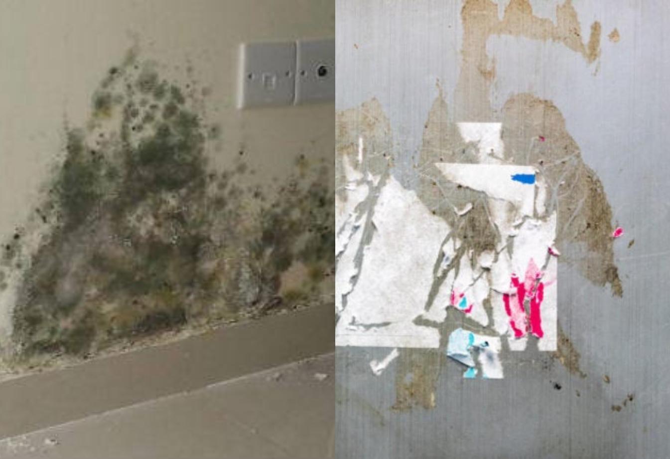 Αυτοκολλήτα που δεν φεύγουν, αρμοί μουχλιασμένοι, Σκουριες και άλατα: Με 1 προιον γίνοτ