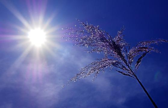 Μερομήνια 2024: Τι καιρό θα κάνει; Καύσωνας μέχρι τον Σεπτέμβριο